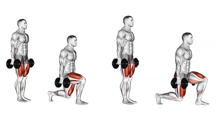visual demonstration of lunges.